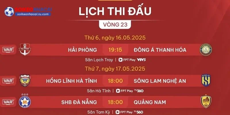 Chuyên trang đem đến thông tin đa dạng các giải đấu.