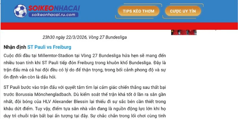 Cung cấp các bài viết phân tích chuyên sâu, khách quan.