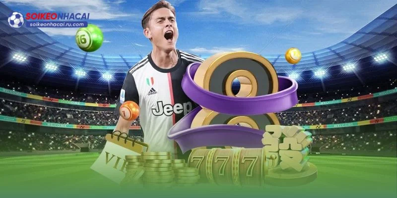 Đôi nét giới thiệu về website Soi Keo Nha Cai mới nhất. 