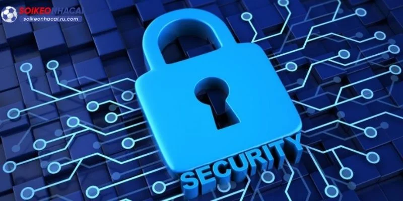 Những quyền lợi cơ bản của người chơi tại Soi Kèo Nhà Cái.