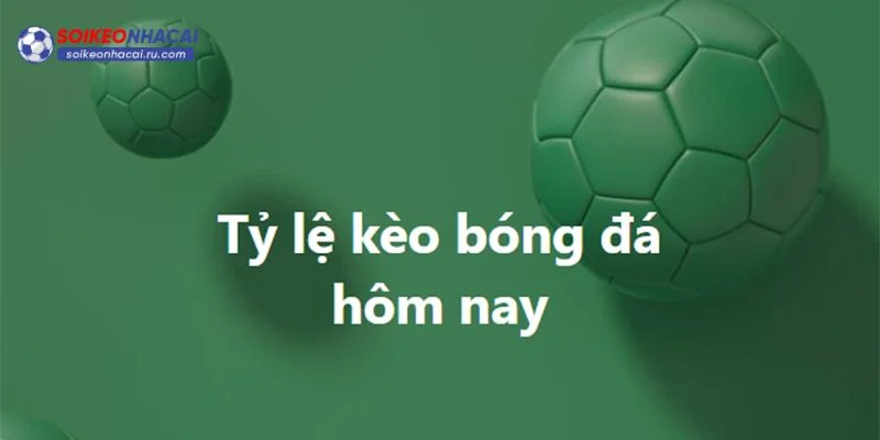 Tỷ lệ kèo là thông số đặc biệt quan trọng trong một trận đấu.