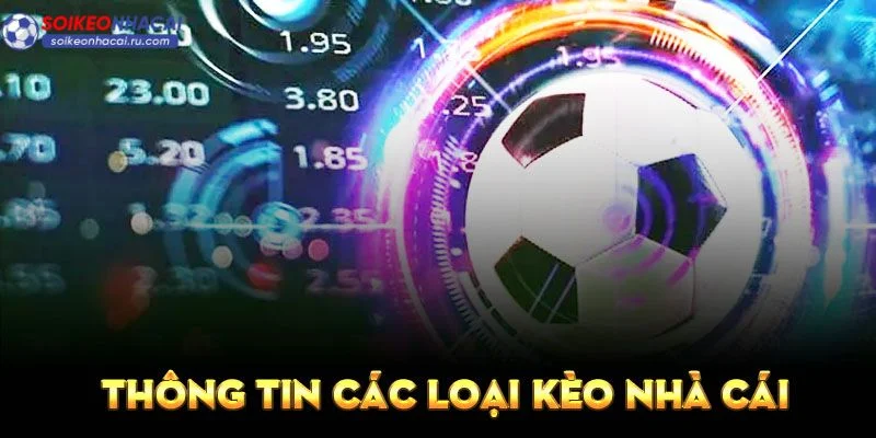 Các loại kèo nhà cái Serie A tại Soi Kèo Nhà Cái rất đa dạng.