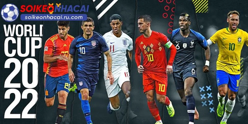 Đội Vô Địch World Cup: Hé Lộ Những Huyền Thoại Bất Tử