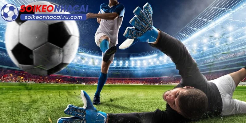 Kèo Nhà Cái World Cup: Tỷ Lệ Cược, Nhận Định Chuyên Sâu